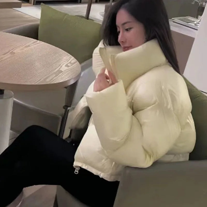 Veste courte rembourrée en coton à col montant pour femme, parkas épaisses, manteau chaud, nouvelle version coréenne, hiver